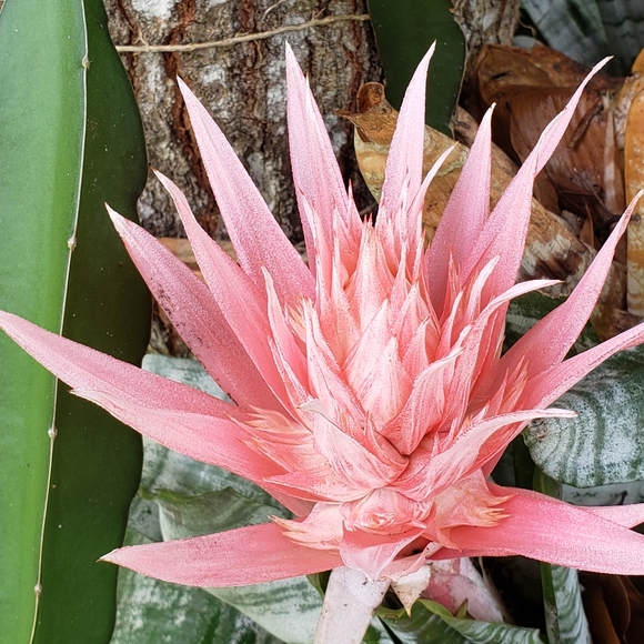 Meet your Posher, Darlee C.  Poshmark Ambassador - Picture 7 of 16